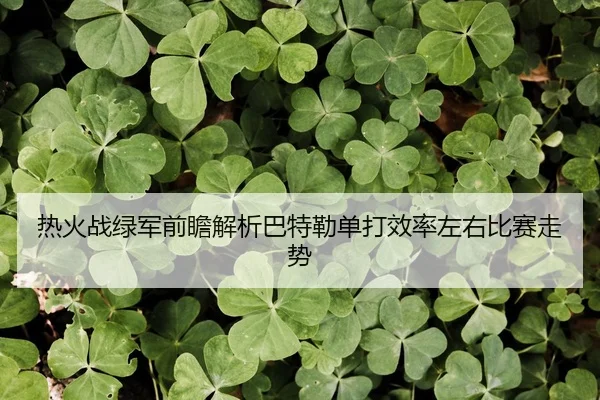 热火战绿军前瞻解析巴特勒单打效率左右比赛走势